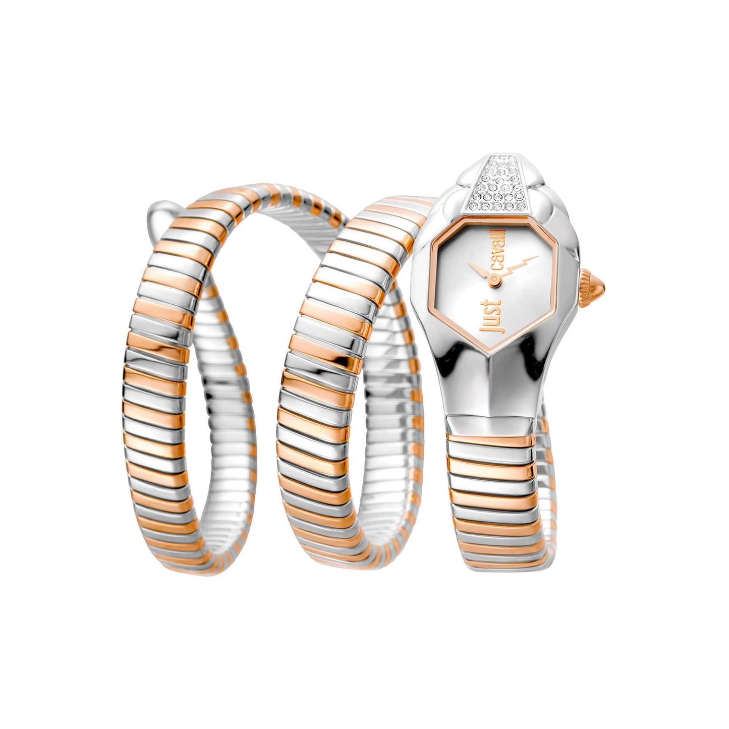 Just Cavalli Montres
